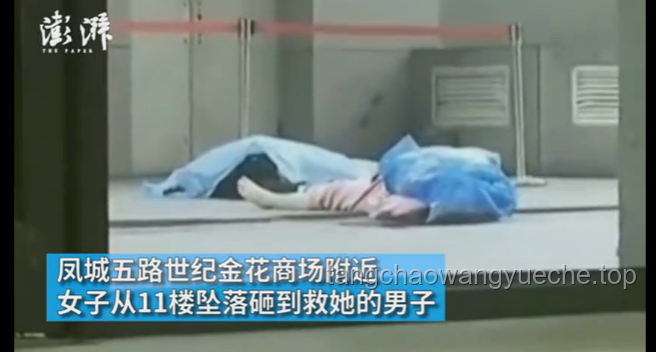 三亚被咬身亡女子家属不赞成尸检的解决方案